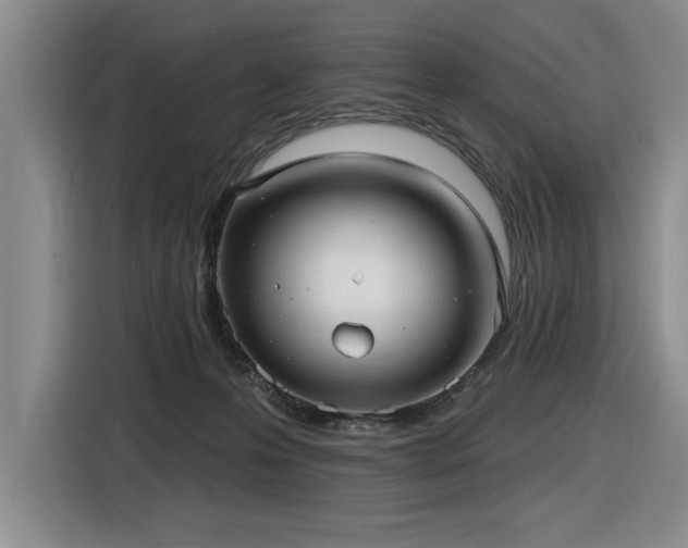 X0000116630223200912111223