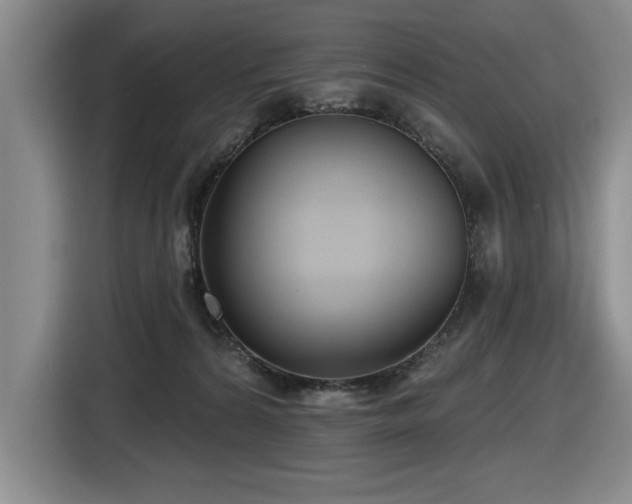 X0000116630224200912111223