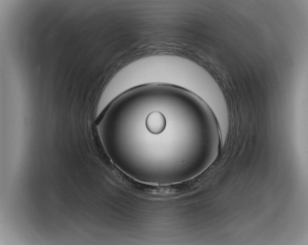 X0000116630225200912111223