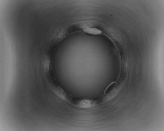 X0000116630227200912111223