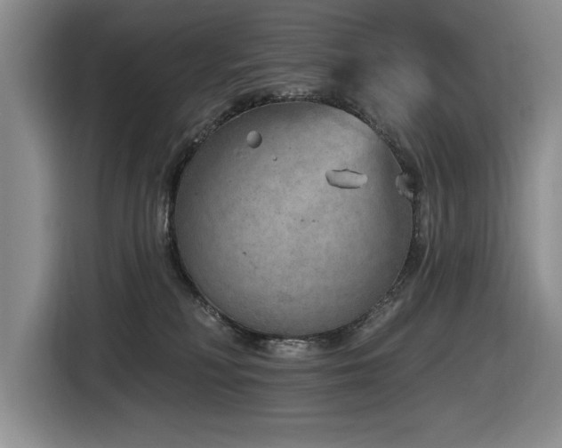 X0000116630230200912111223