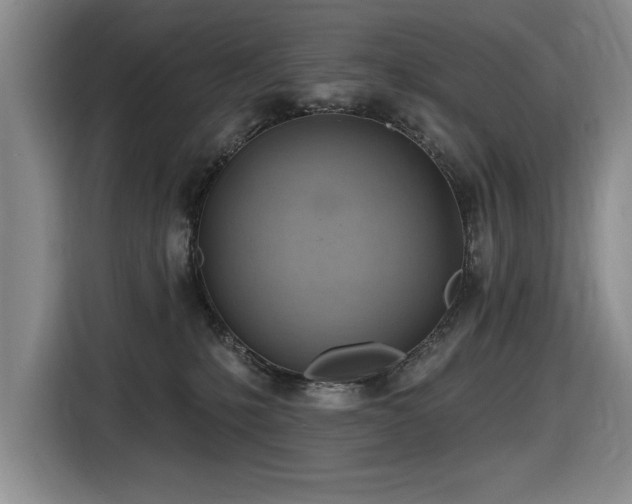 X0000116630231200912111223