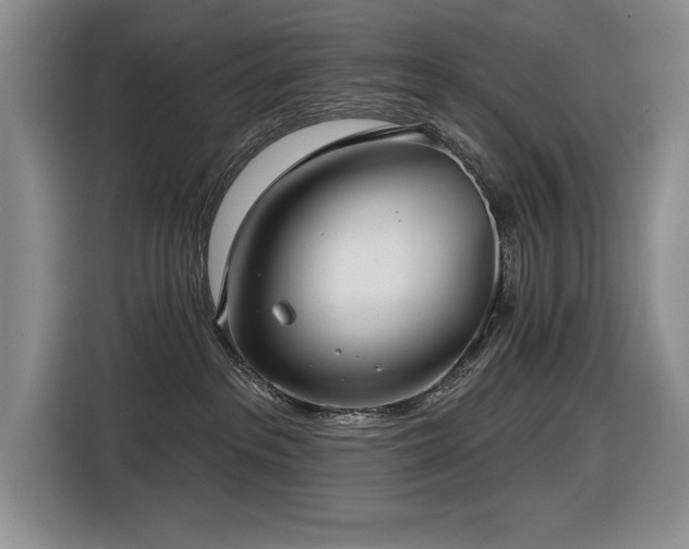 X0000116630237200912111223