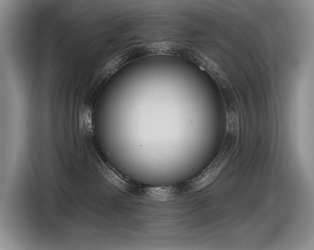 X0000116630238200912111223