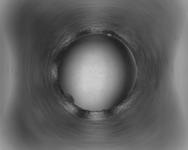 X0000116630240200912111223