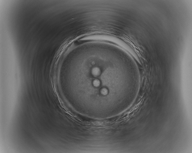 X0000116630241200912111222