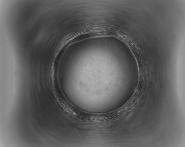 X0000116630242200912111222