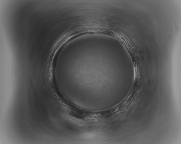 X0000116630243200912111222