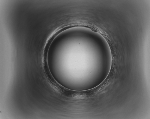 X0000116630248200912111222