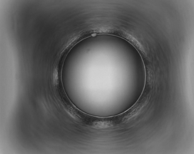 X0000116630251200912111222