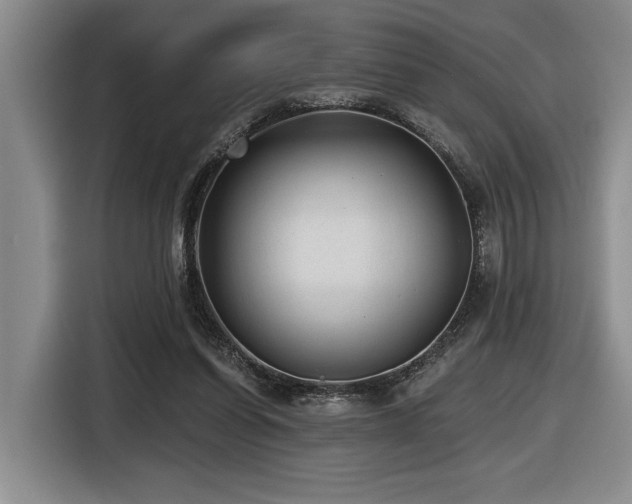 X0000116630254200912111222