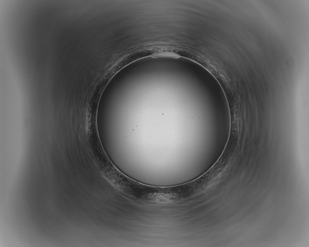 X0000116630255200912111222