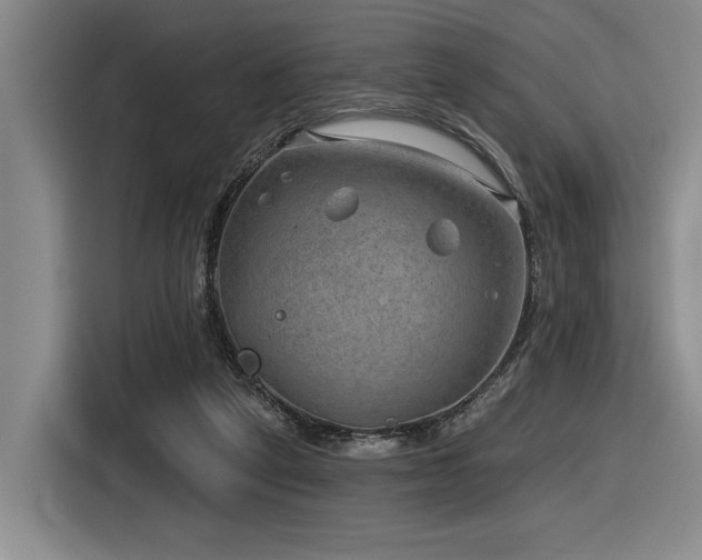 X0000116630257200912111223