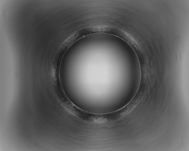 X0000116630258200912111223