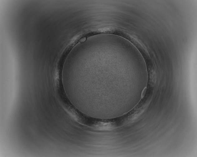 X0000116630260200912111223