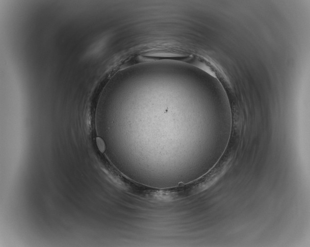 X0000116630261200912111223