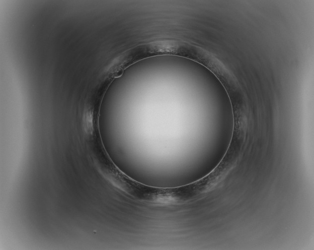 X0000116630262200912111223