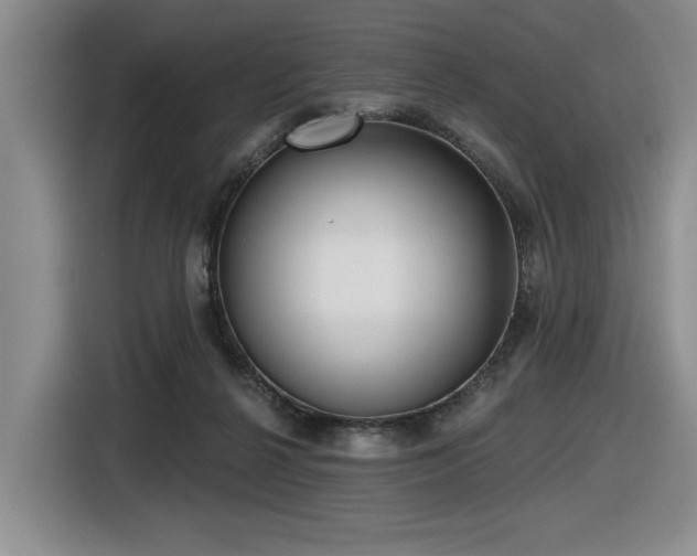 X0000116630264200912111223