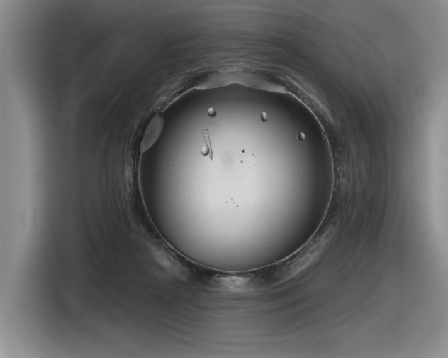 X0000116630265200912111223