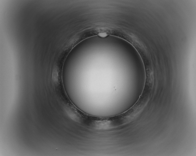 X0000116630266200912111223