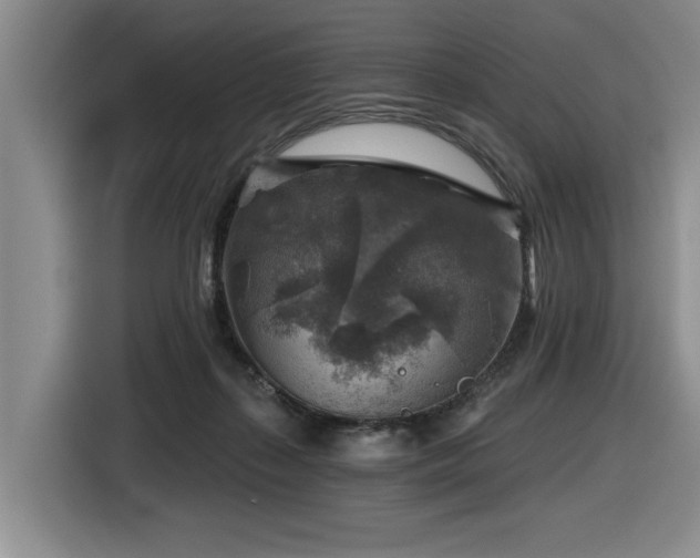 X0000116630267200912111223