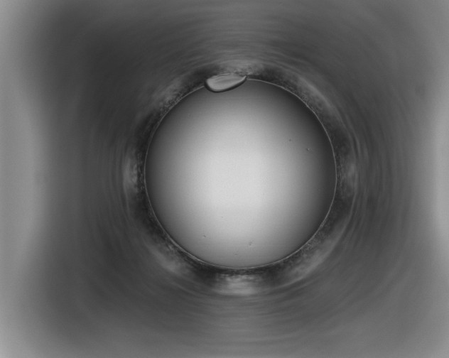 X0000116630268200912111223