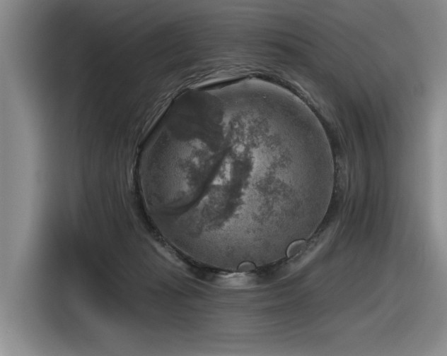 X0000116630269200912111223