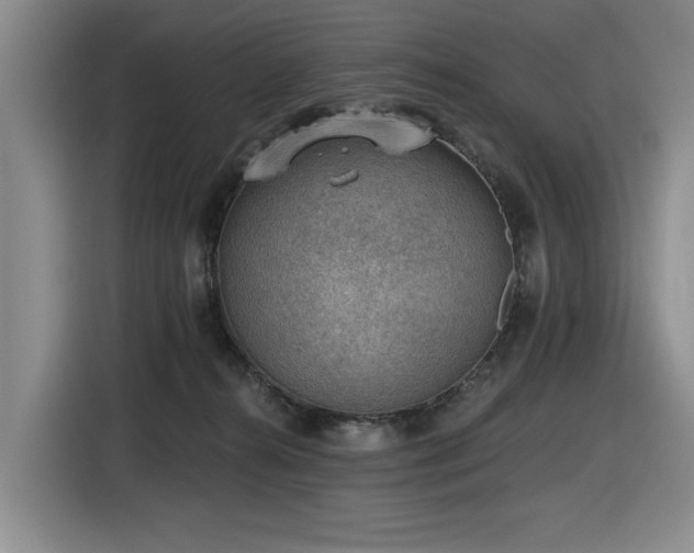 X0000116630272200912111223