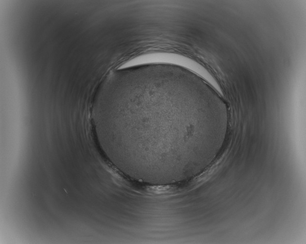 X0000116630273200912111223