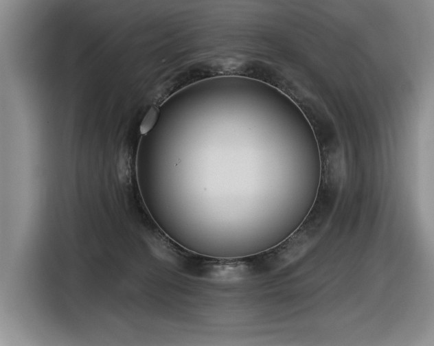 X0000116630274200912111223