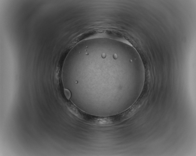 X0000116630275200912111223