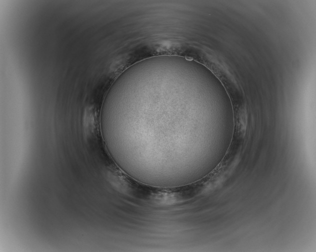 X0000116630276200912111223