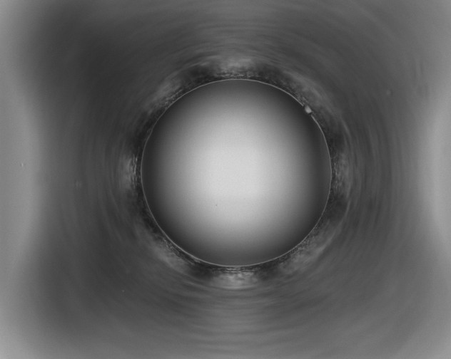 X0000116630278200912111223