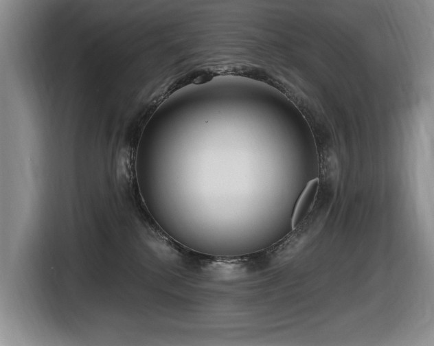 X0000116630280200912111223