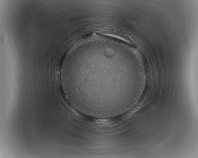 X0000116630281200912111223