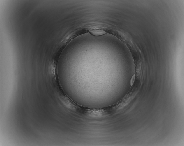 X0000116630282200912111223