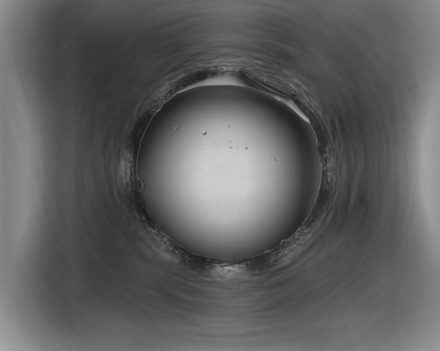 X0000116630283200912111223