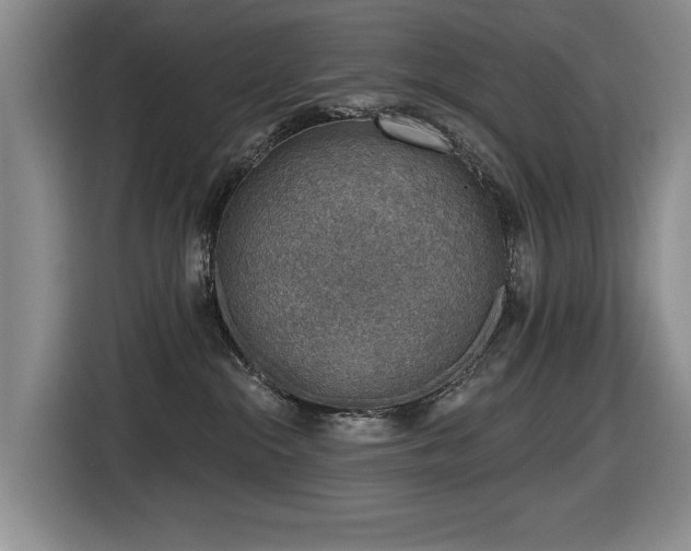 X0000116630284200912111223