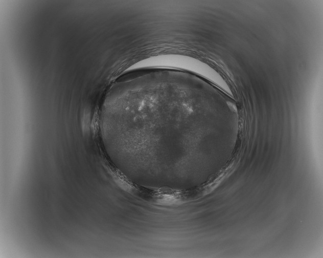 X0000116630285200912111223