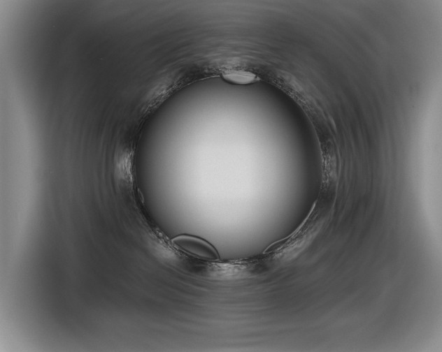 X0000116630286200912111223