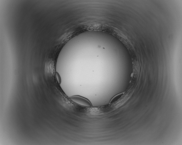 X0000116630287200912111223