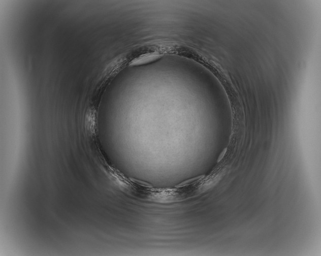 X0000116630288200912111223