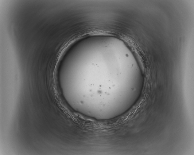 X0000116630289200912111222