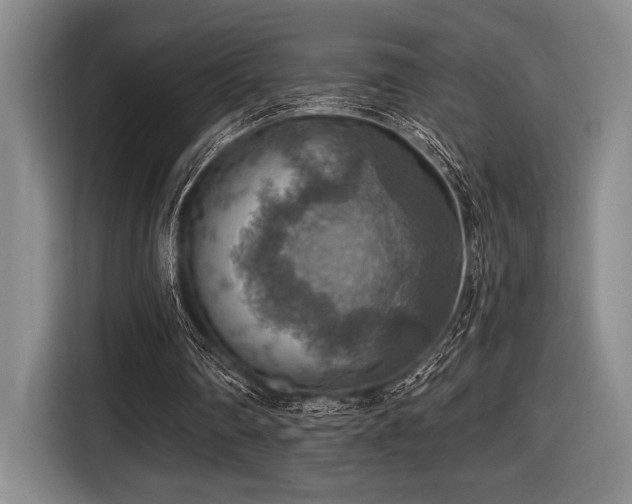 X0000116630290200912111222