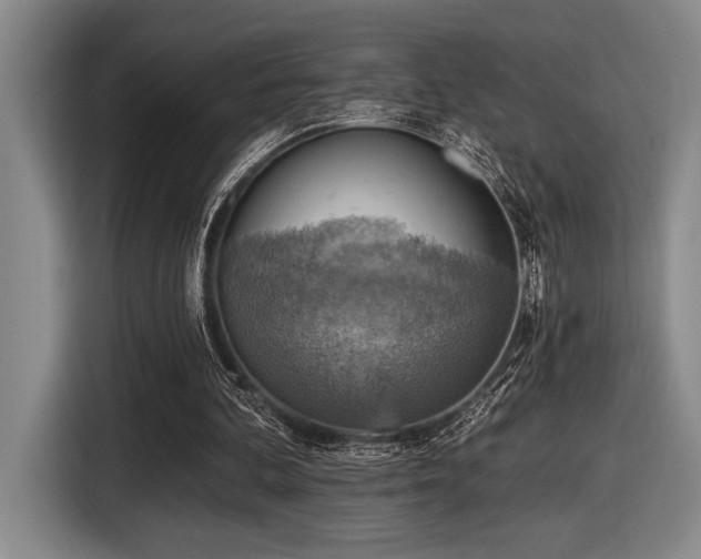 X0000116630292200912111222