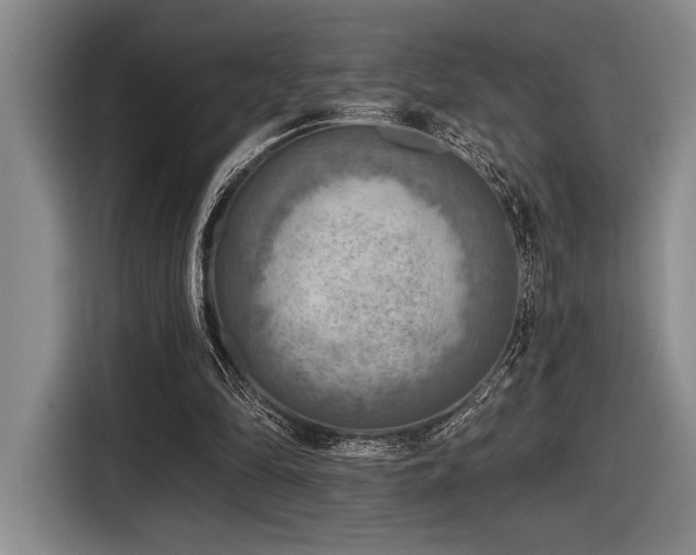 X0000116630294200912111222