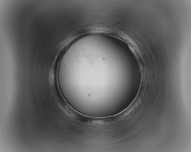 X0000116630298200912111222