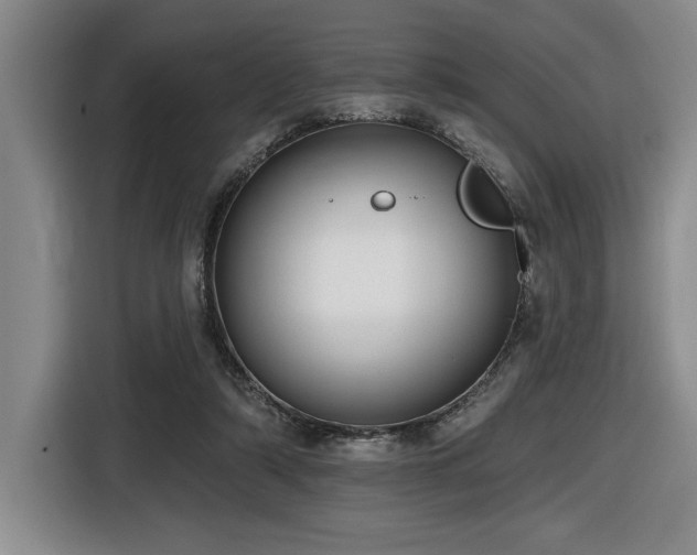 X0000116630306200912111222