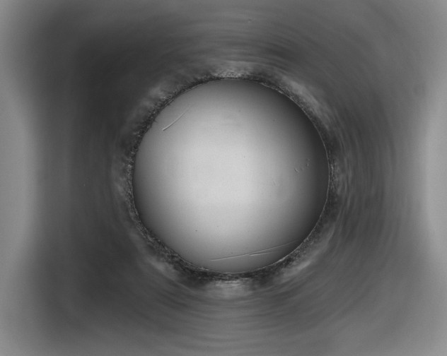 X0000116630307200912111222