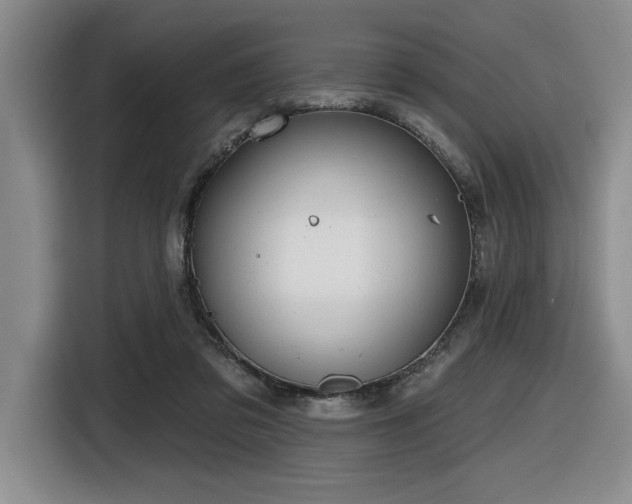 X0000116630309200912111222